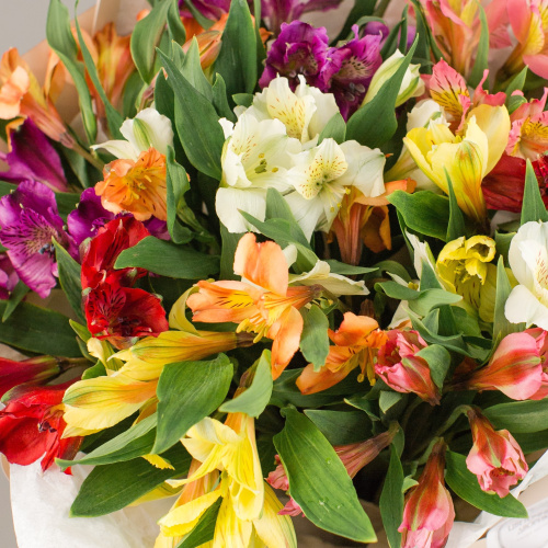 Букет из цветных альстромерий арт. 50406