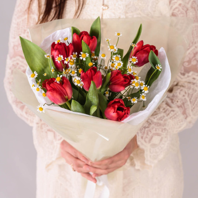 Букет из 7 красных тюльпанов с ромашками 59873