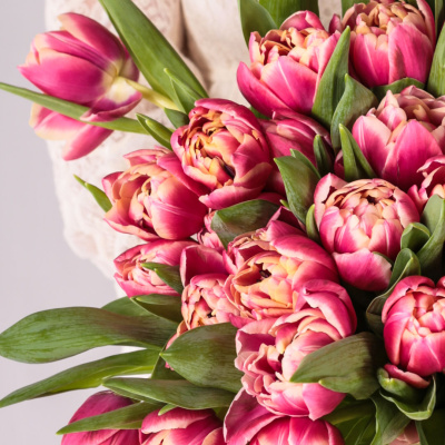 Букет из 51 пионовидного тюльпана Колумбус 46174