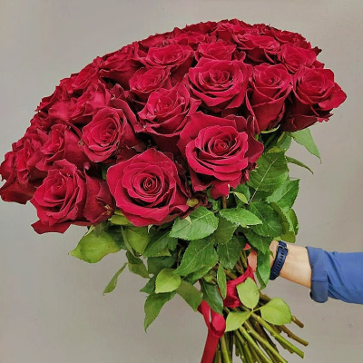 Букет из 51 Красной розы 60 см 7298