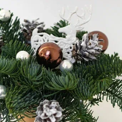 Композиция из нобилиса в стаканчике с оленем "Сказочный олень" N 90862