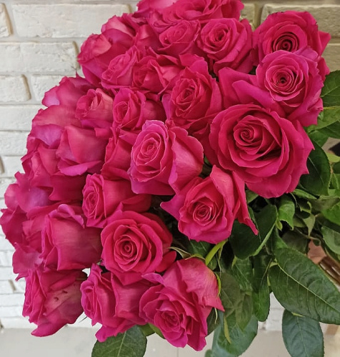 Роза розовая Эквадор 60 см ПОШТУЧНО арт. 2446