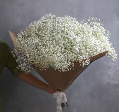 Букет-гигант из 25 белых гипсофил 29261