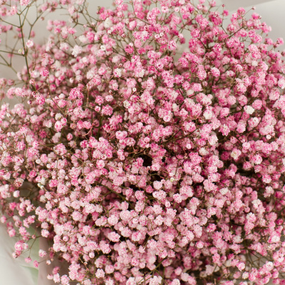 Букет из розовых гипсофил N 50459