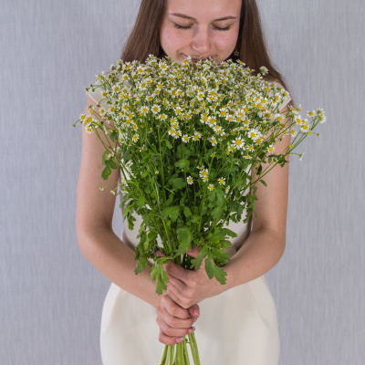 Букет из мелких кустовых ромашек танацетумов 50581