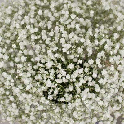 Коробка с гипсофилой белая N 50464